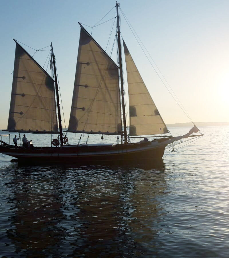 Experience a sailboat trip on Lake Garda